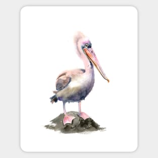 Pelican -Watercolor art Sticker